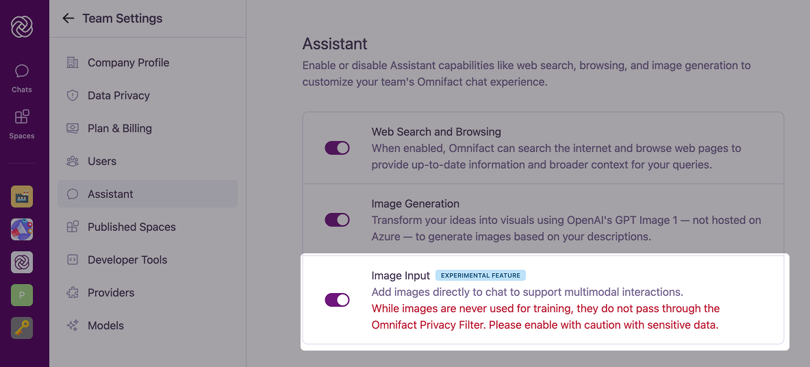 Image Input Experimental Feature toggle showing privacy disclaimer