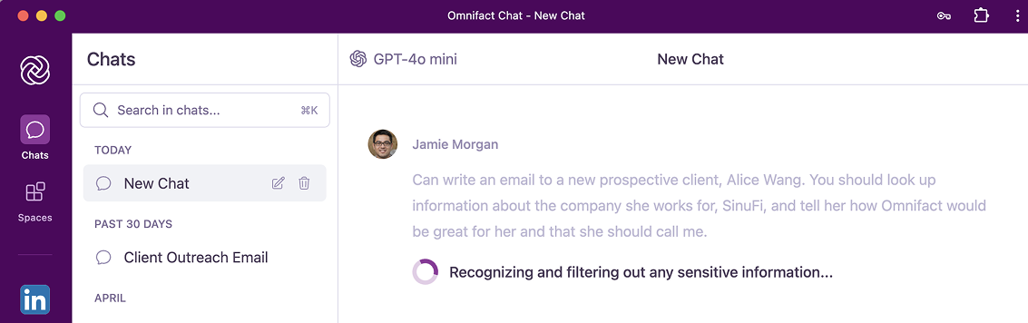 The Omnifact Privacy Filter™ in action