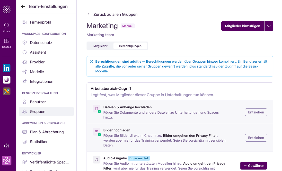 Registerkarte "Gruppenberechtigungen" mit den Abschnitten Workspace-Zugriff, Modell-Zugriff und Datenschutz